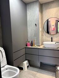 Tanglin View (D3), Condominium #588035321